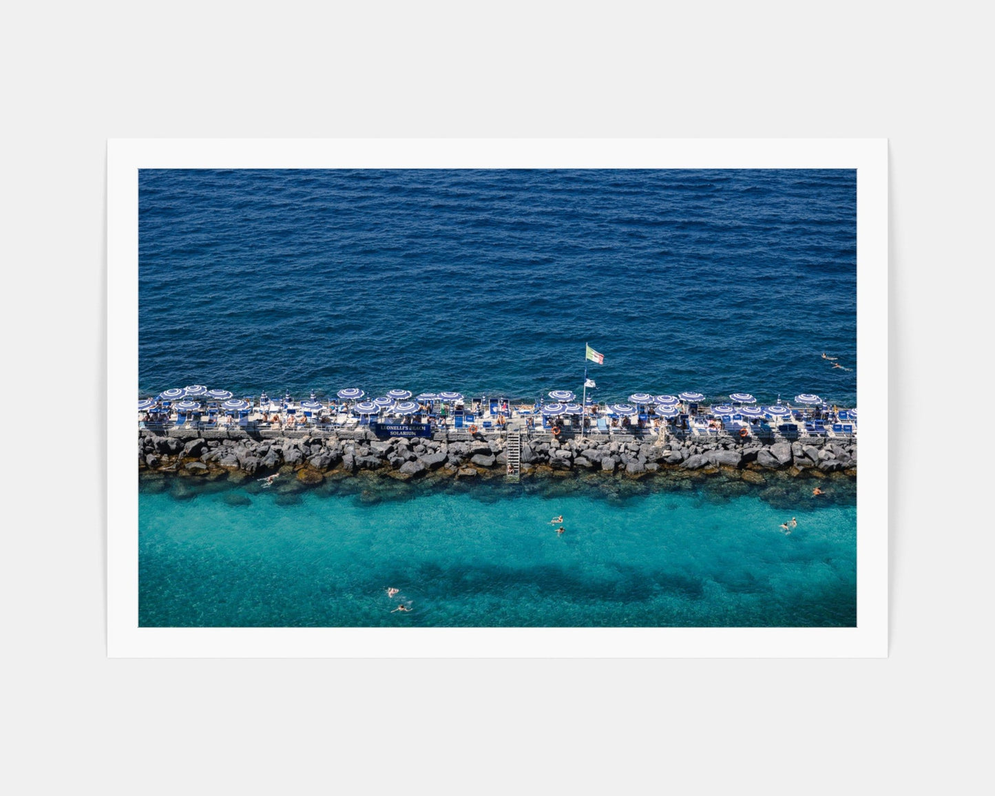 Just Keep Swimming Grande Print